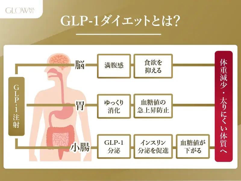 GLP-1ダイエットとは