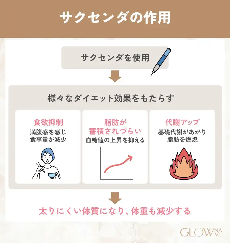 サクセンダの作用