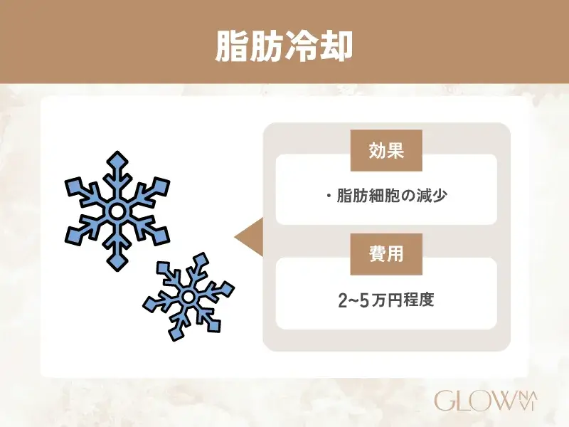 脂肪冷却　解説画像