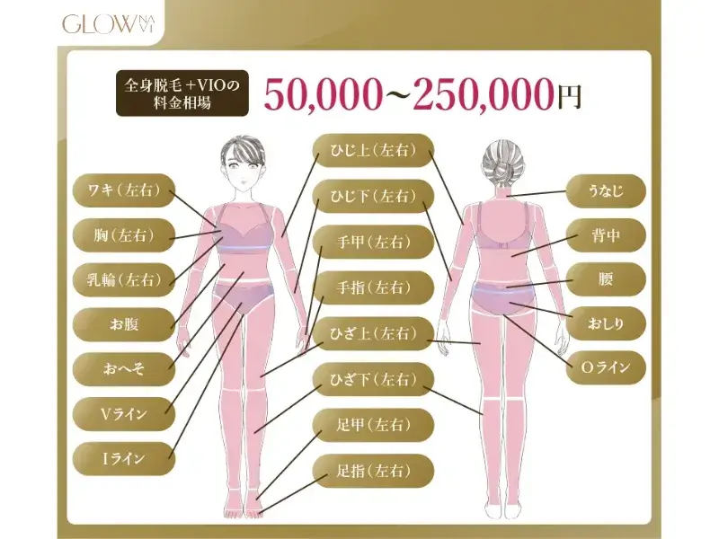 全身脱毛＋VIOの料金相場　解説画像