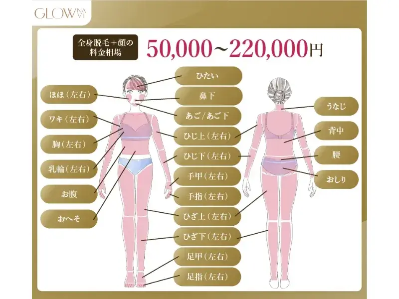 全身脱毛＋顔の料金相場　解説画像