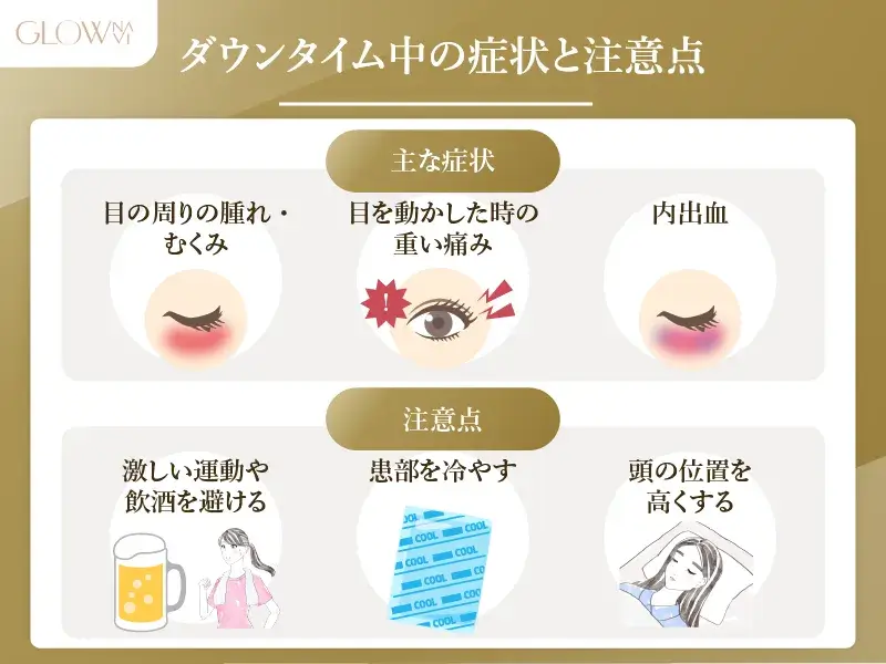 名古屋 クマ取り 注意点