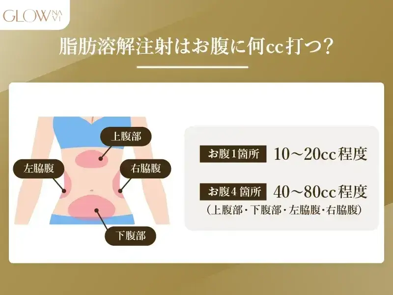 脂肪溶解注射はお腹に何cc打つ？　解説画像
